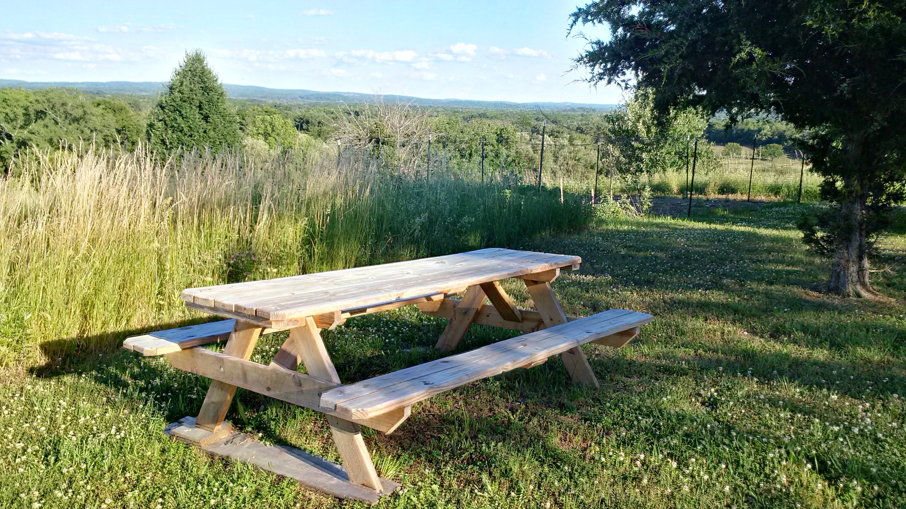 East View Bench